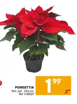 Trafic Poinsettia offre