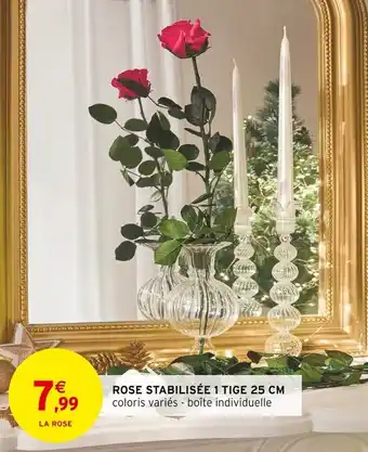 Intermarché Rose stabilisée 1 tige offre