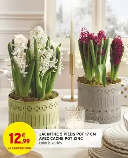 Intermarché Jacinthe 5 pieds pot avec cache pot zinc offre