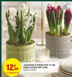 Intermarché Jacinthe 5 pieds pot 17 cm avec cache pot zinc offre