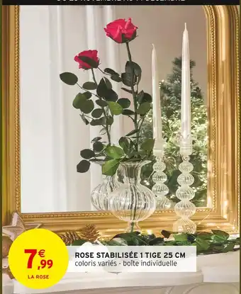 Intermarché Rose stabilisée offre
