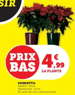 U Express Poinsettia offre