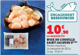 U Express Noix de coquille saint jacques u offre