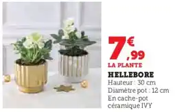 Hyper U Hellebore offre