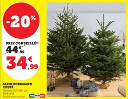 Hyper U Sapin nordmann coupé offre