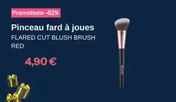 Stanhome Pinceau fard à joues offre