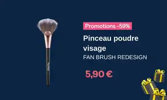 Stanhome Pinceau poudre visage offre