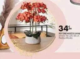 La Foir'Fouille Pot orchidées sanae offre
