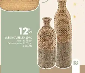 La Foir'Fouille Vase naturel en jonc offre