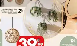 La Foir'Fouille Plante suspendue patri offre