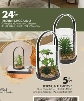 La Foir'Fouille Terrarium plante wilo offre
