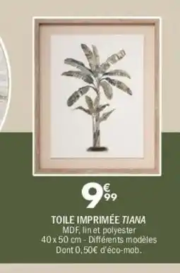 La Foir'Fouille Toile imprimée tiana offre