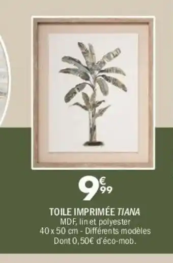 La Foir'Fouille Toile imprimée tiana offre