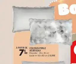 La Foir'Fouille Coussin perle nebraska offre