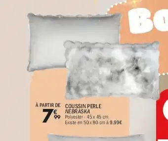 La Foir'Fouille Coussin perle nebraska offre