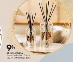 La Foir'Fouille Diffuseur ilan offre