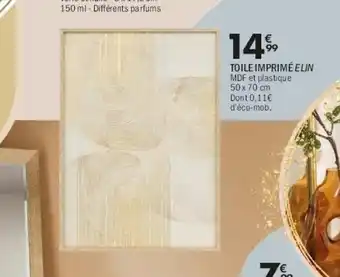 La Foir'Fouille Toile imprimé elin offre