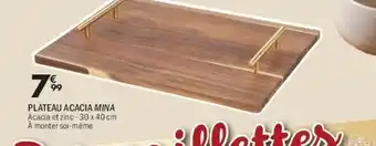 La Foir'Fouille Plateau acacia mina offre