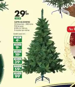 La Foir'Fouille Sapin blooming offre