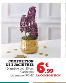 Super U Composition de 3 jacinthes offre