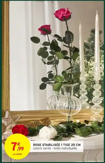 Intermarché Hyper Rose stabilisée 1 tige offre