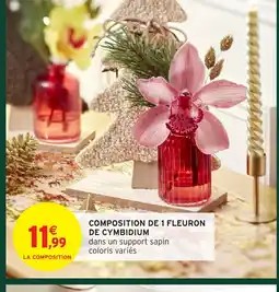 Intermarché Hyper Composition de 1 fleuron de cymbidium offre