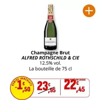 Coccinelle Express Brut - champagne offre