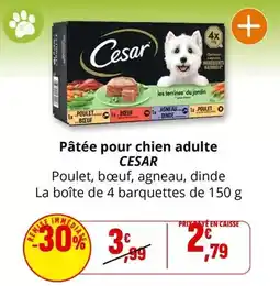 Coccinelle Express Cesar - pâtée pour chien adulte offre