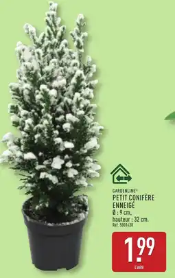 ALDI Petit conifère enneigé offre
