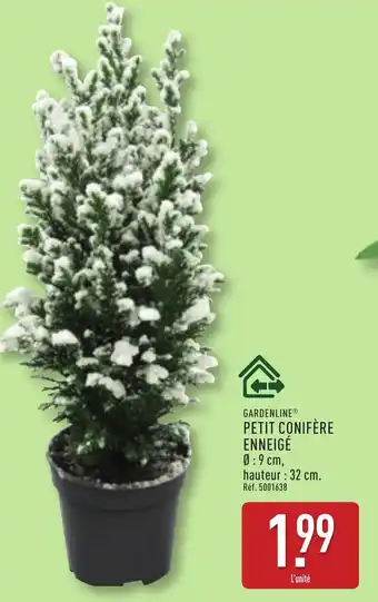 ALDI Petit conifère enneigé offre