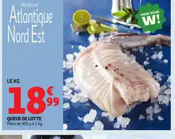 Auchan Queue de lotte offre