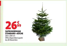 Auchan Sapin nordman standard + bûche offre