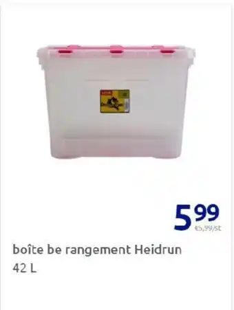 Action Boîte be rangement heidrun offre