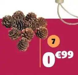 Gifi 10 pommes de pin offre