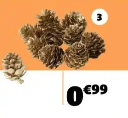 Gifi 10 pommes de pin offre