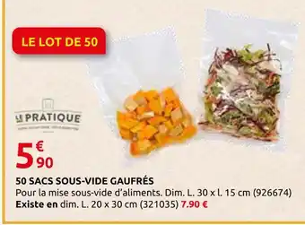 Rural Master Le pratique 50 sacs sous-vide gaufrés offre