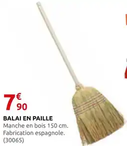 Rural Master Balai en paille offre
