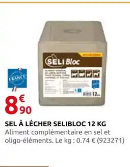 Rural Master Selibloc sel à lécher offre