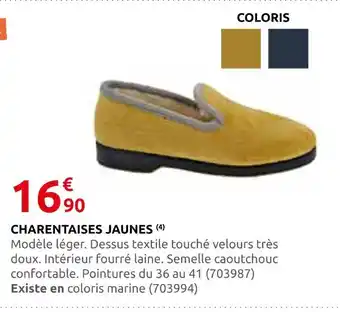 Rural Master Charentaises jaunes offre