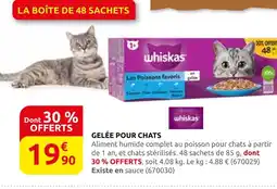 Rural Master Whiskas gelée pour chats offre
