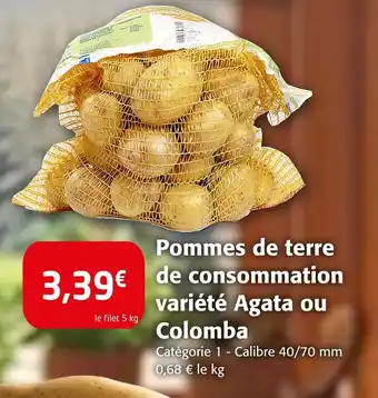 Colruyt Pommes de terre de consommation variété agata ou colomba offre