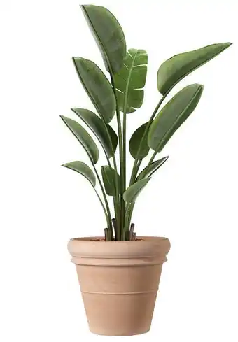 Jardiland Pot doppio bordo offre