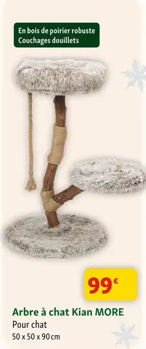 Maxi Zoo Kian more arbre à chat offre