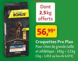 Maxi Zoo Pro plan croquettes offre