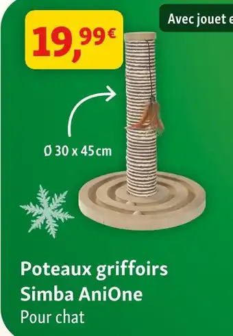 Maxi Zoo Anione poteaux griffoirs simba offre