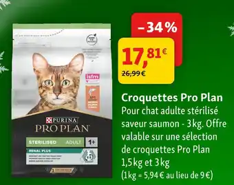 Maxi Zoo Purina croquettes pro plan offre