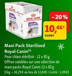 Maxi Zoo Royal canin maxi pack sterilised offre