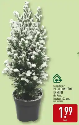 ALDI Gardenline petit conifère enneigé offre