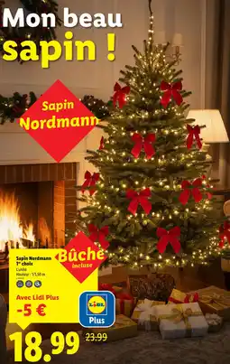 Lidl Sapin nordmann 1er choix offre