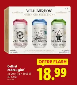 Lidl Wild burrow coffret cadeau gins offre